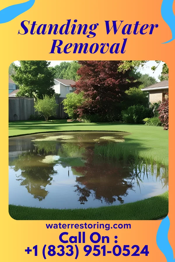 Standing Water Removal in Epes, AL